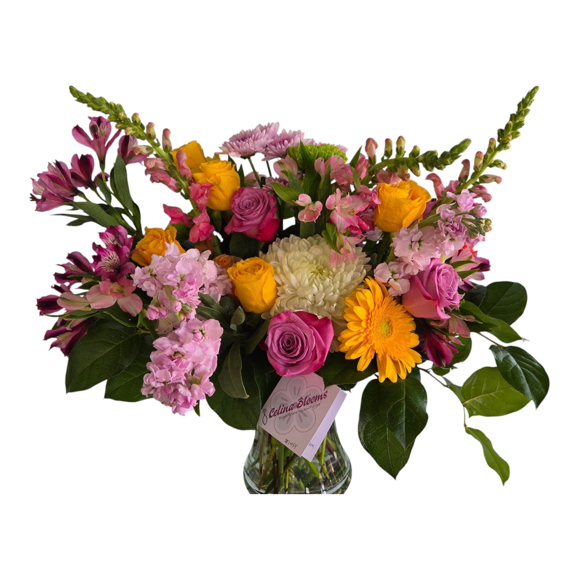 Sunset Blush Garden