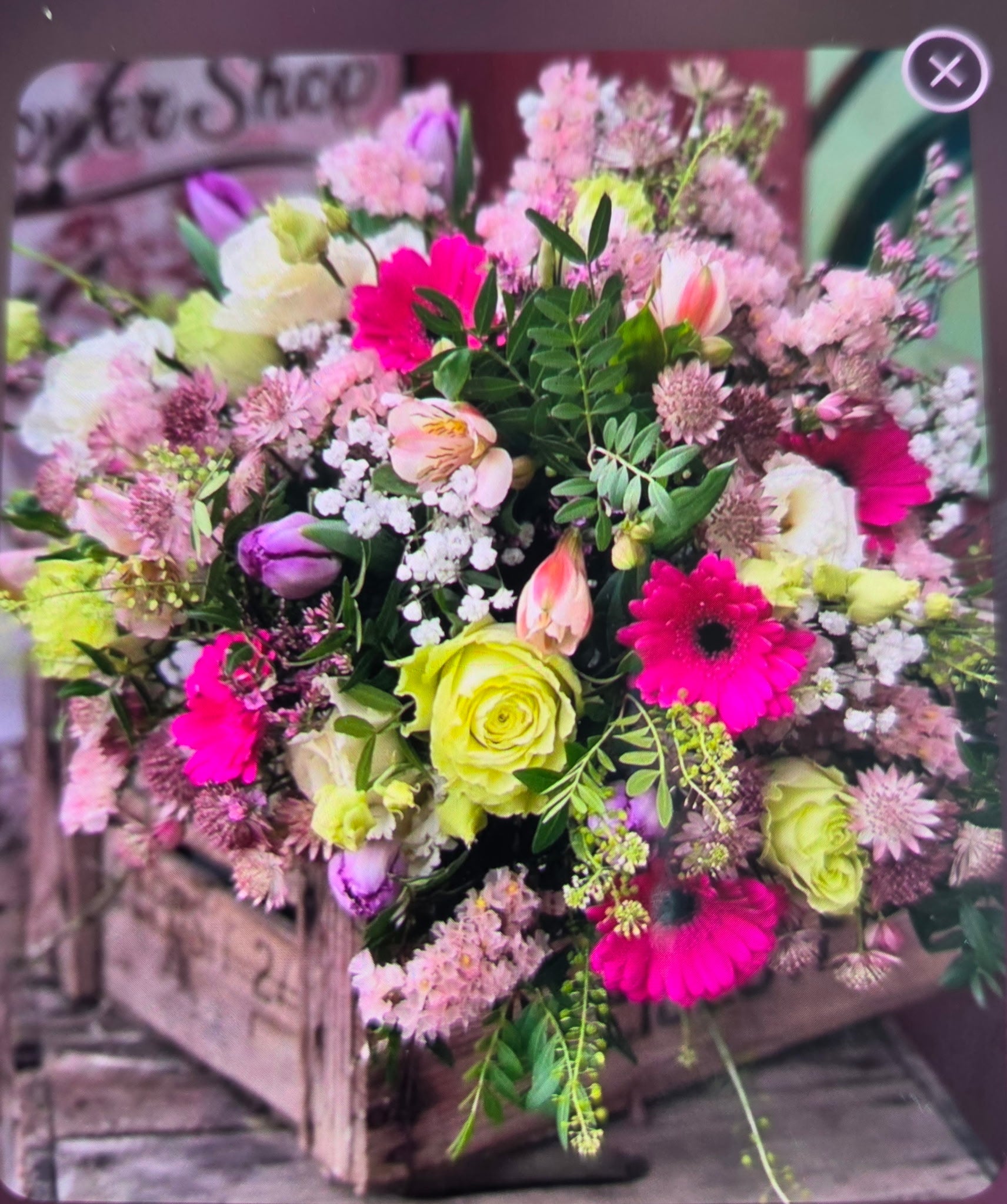 Mother's Garden of Grace